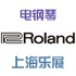 [Ϻչ]Roland ٱ  F20չ